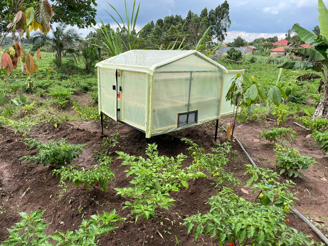 Solar Dryer